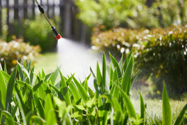 24/7 Emergency Mosquito Control experts in Mathis, TX